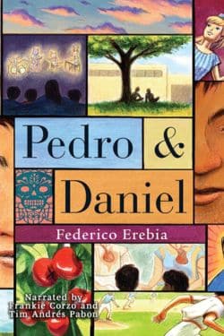 10 के शीर्ष 2023 युवा वयस्क उपन्यास - फेडेरिको एरेबिया द्वारा पेड्रो और डैनियल