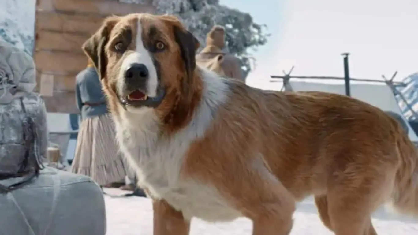 10 Memorable characters from Books Whose Names Begin with 'B' - Buck