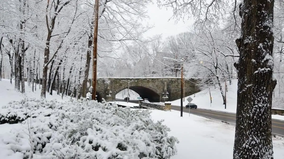 Major Historical Events on January 19 - Today in History - 1994: Cleveland's Coldest Day