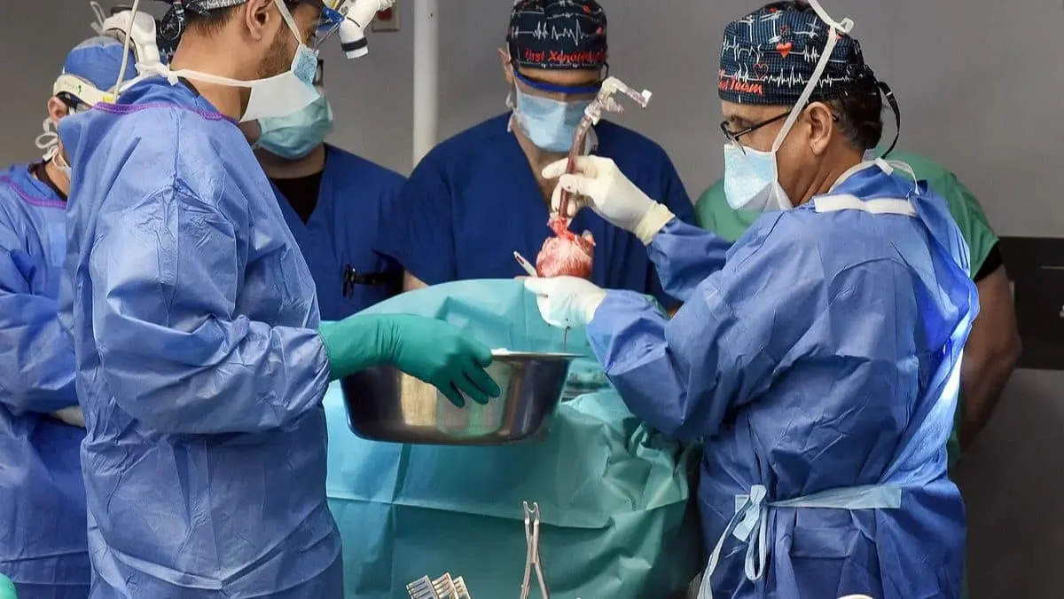 Major Historical Events on January 7 - Today in History - 2022: First Pig's Heart Transplant in Human