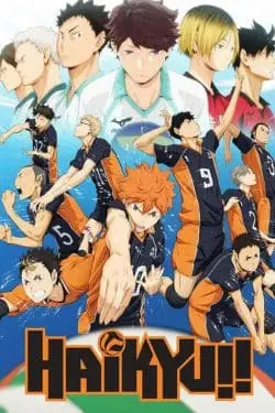 Top 20 Must-Watch Anime Series for Every Type of Fan - Haikyuu!!