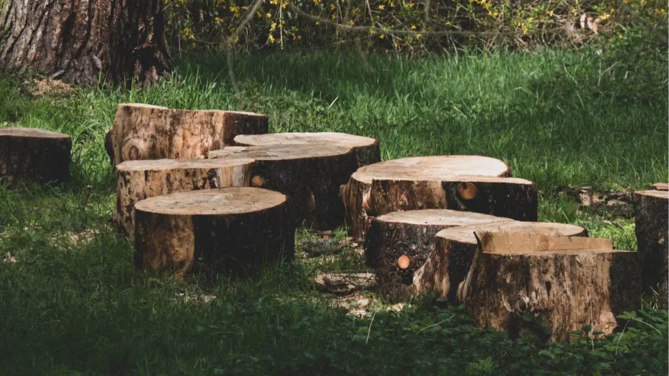 Sustainable Reading: How Second-Hand Books Can Reduce Our Carbon Footprint - Understanding the Environmental Impact of New Books