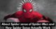 About Spider sense of Spider-Man and How Spider Sense Actually Work