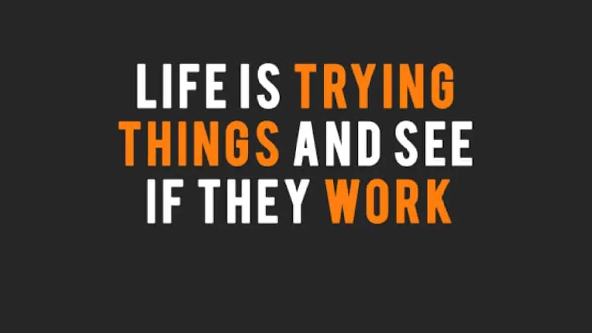 Life is trying things to see if they work
