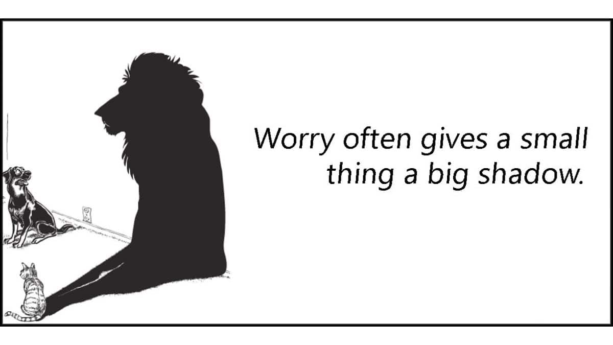 Worry gives a small thing a big shadow – GoBookMart