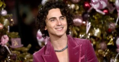 Following the success of 'Dune' and 'Wonka,' Timothée Chalamet has signed a multi-year agreement with Warner Bros