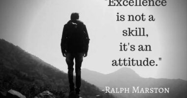 Excellence is not a skill. It is an attitude