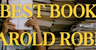 10 Best Books of Harold Robbins