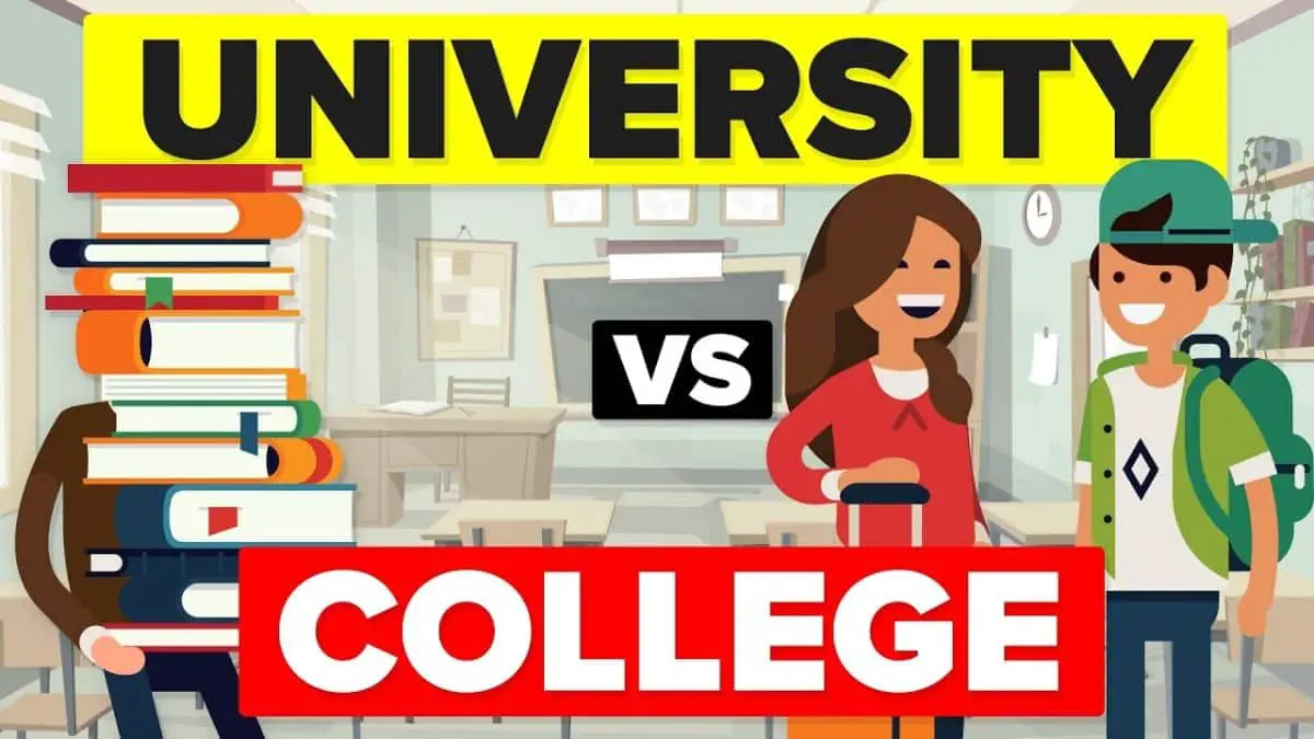 Difference Between College and University