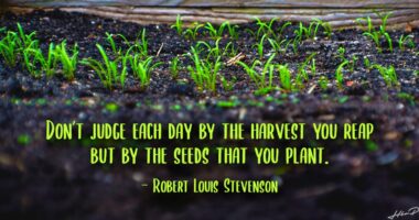 Don't judge each day by the harvest you reap but by the seeds that you plant.