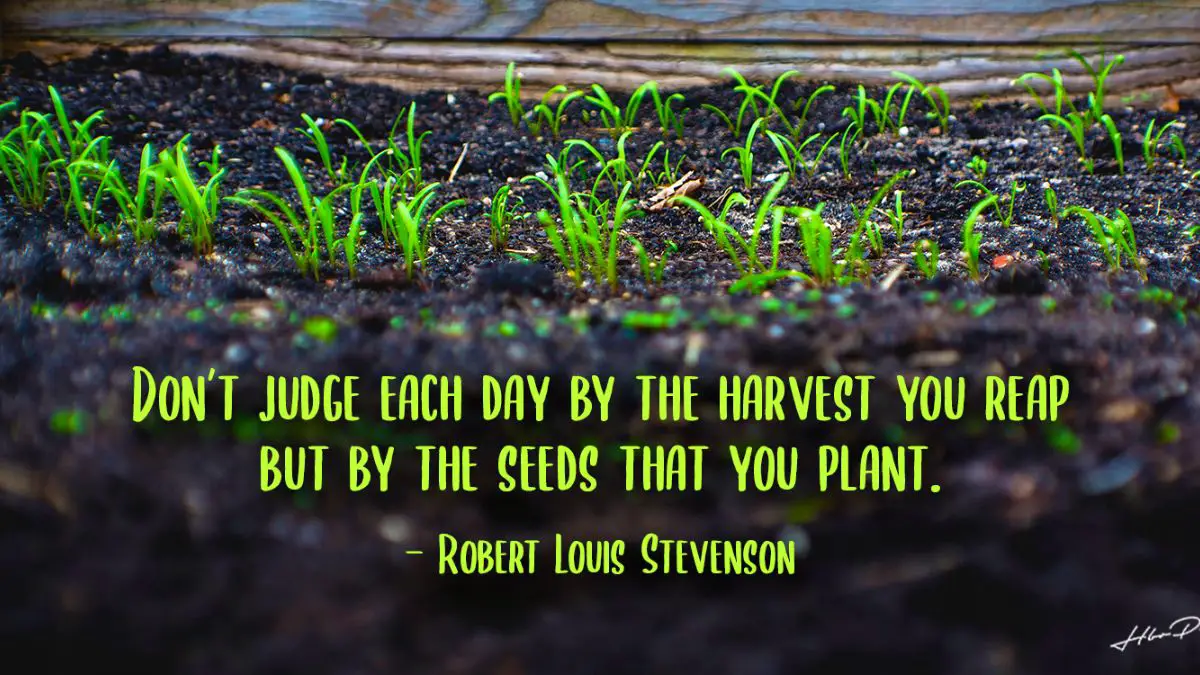 Don't judge each day by the harvest you reap but by the seeds that you plant.