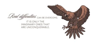 Real difficulties can be overcome; it is only the imaginary ones that are unconquerable.