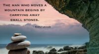 The man who moves a mountain begins by carrying away small stones