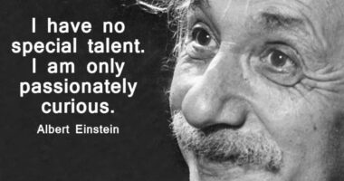 I have no special talents. I am only passionately curious.