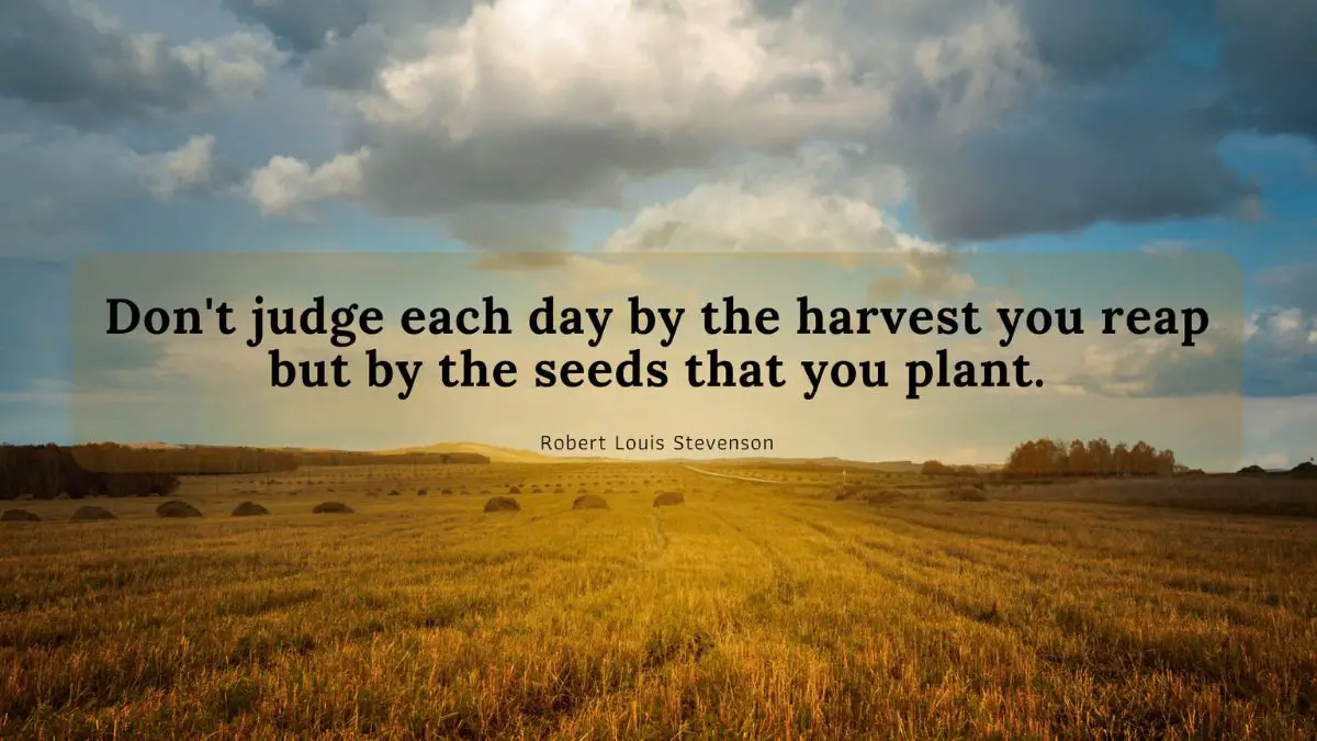 Don't judge each day by the harvest you reap but by the seeds that you plant.