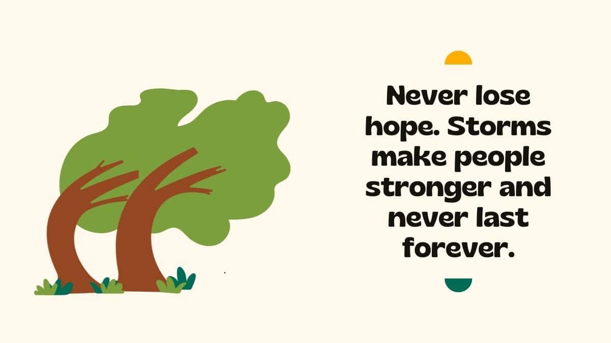 Never lose hope. Storms make people stronger and never last forever ...