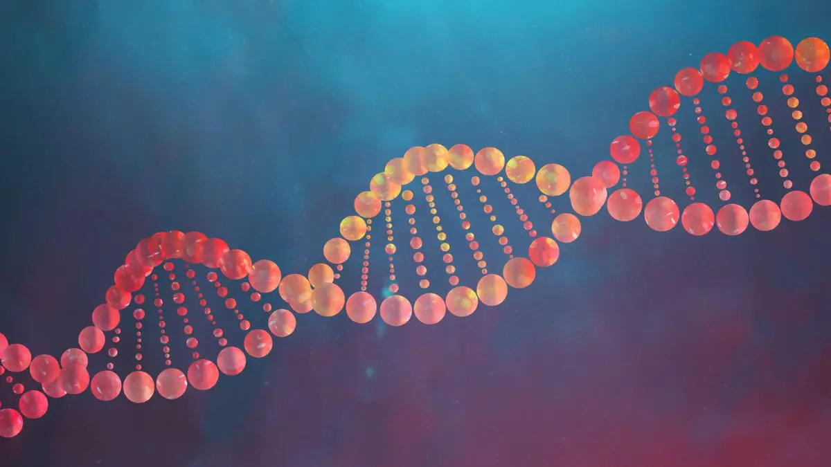 Difference Between DNA and RNA