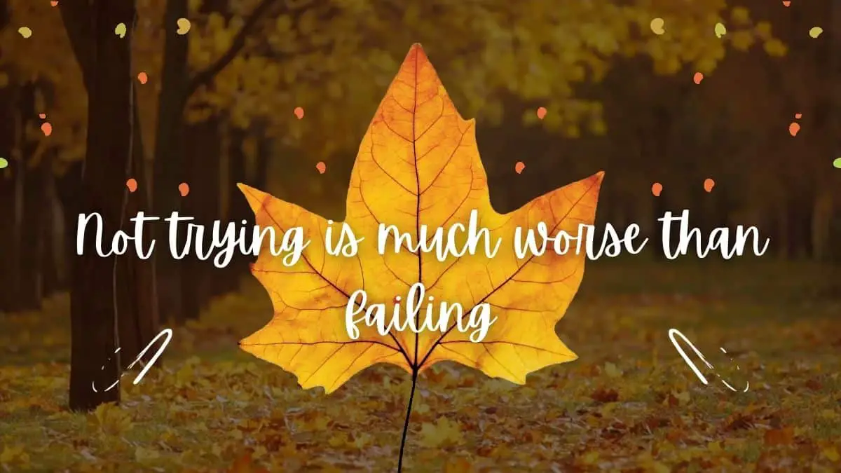 Not trying is much worse than failing