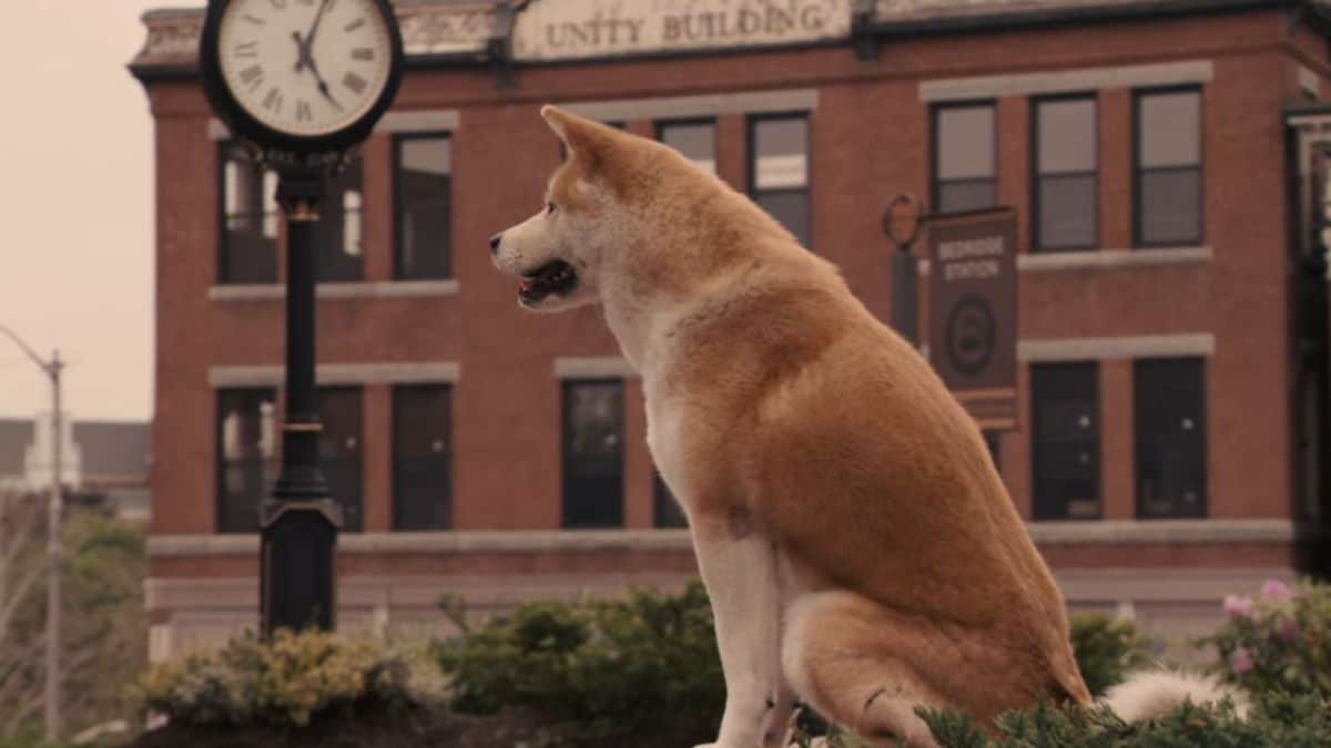 Hachiko: A Dog's Story (2009)