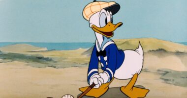 Donald Duck Turned 90 This Year (1934 - 2024)