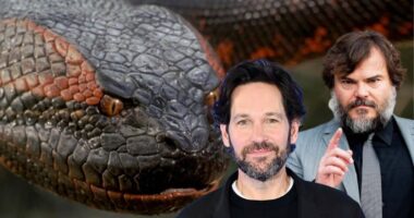 Anaconda Reboot in Development with Jack Black and Paul Rudd in Talks for Leading Roles