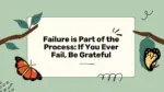 Failure is Part of the Process: If You Ever Fail, Be Grateful