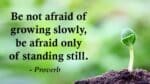 Be not afraid of growing slowly, be afraid only of standing still