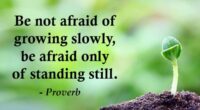 Be not afraid of growing slowly, be afraid only of standing still