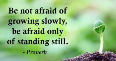 Be not afraid of growing slowly, be afraid only of standing still