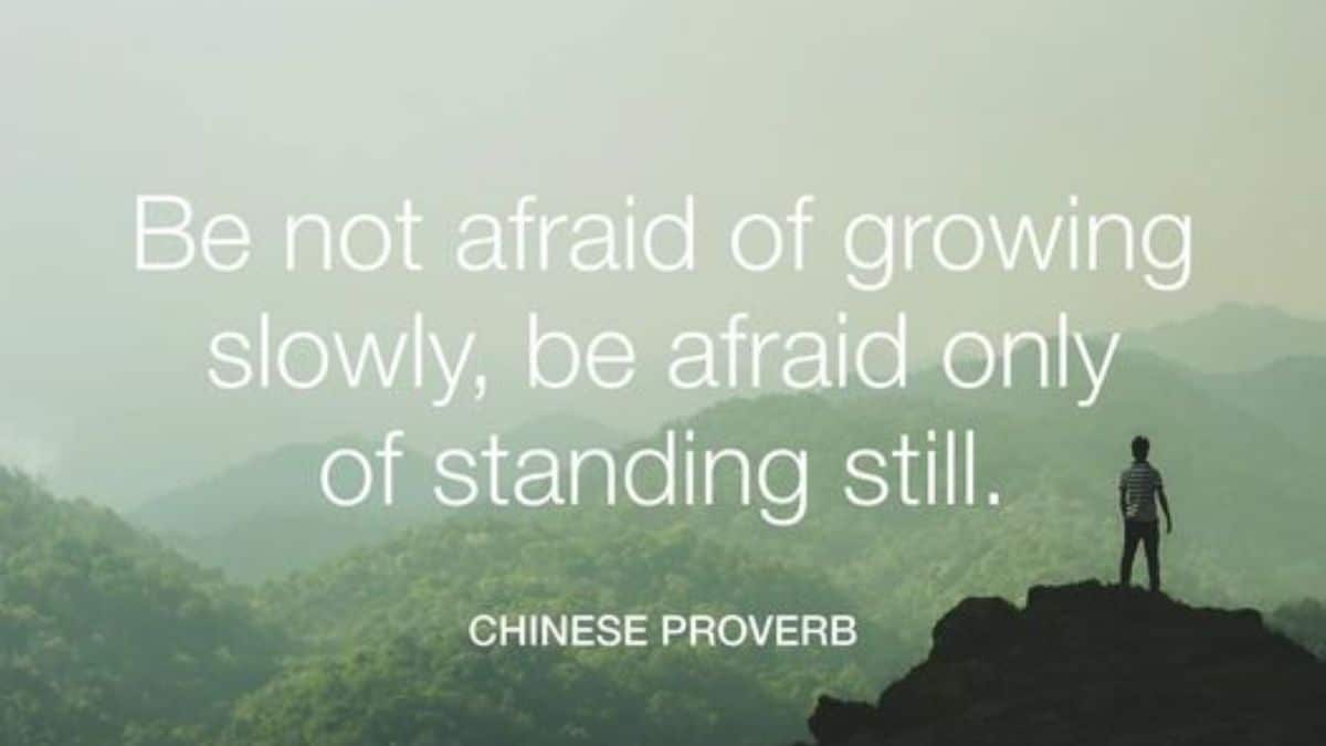 Be not afraid of growing slowly, be afraid only of standing still