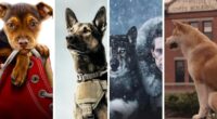 International Dog Day: Best Dog Movies Based on True Events