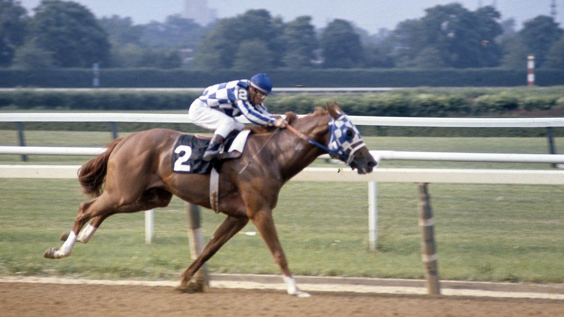 Major Historical Events on October 4 - Secretariat's Euthanization - 1989 AD