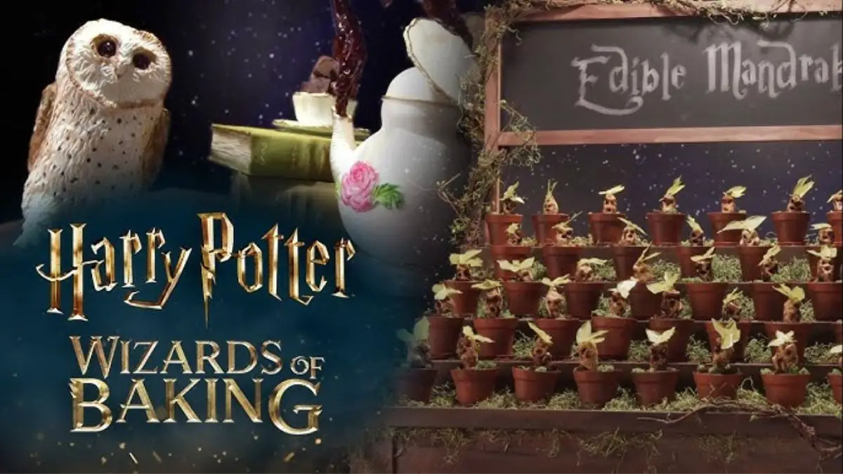 Harry Potter: Wizards of Baking Brings Magical Culinary Competition to Food Network