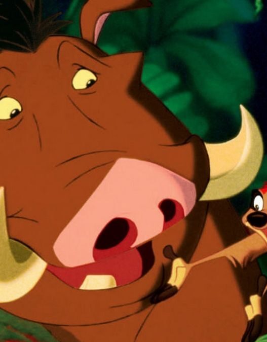 Life Lessons from Timon and Pumbaa