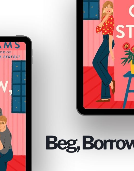 Beg, Borrow, or Steal: By Sarah Adams (Book Review)