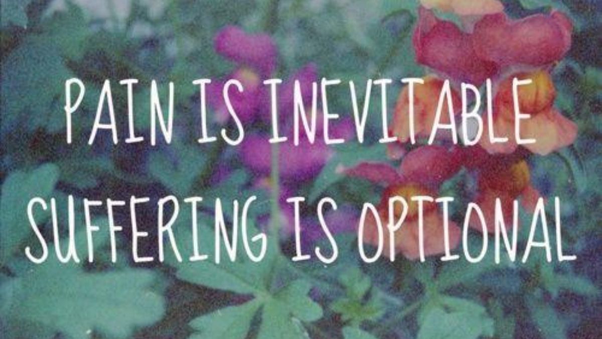 Pain is inevitable, Suffering is optional.