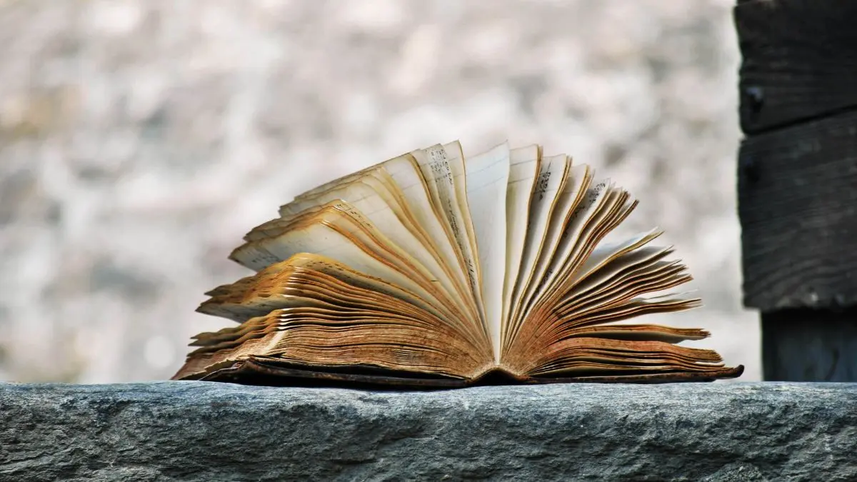 Plot-Driven vs. Character-Driven Stories: Which Keeps Us Hooked?