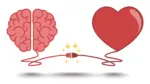 The Brain in Love What Neuroscience Says About Infatuation, Attachment, and Heartbreak (3)