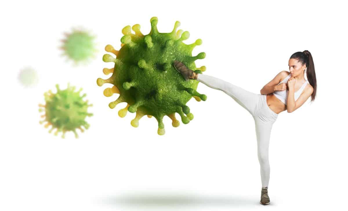How the Immune System Saves Your Life Every Day