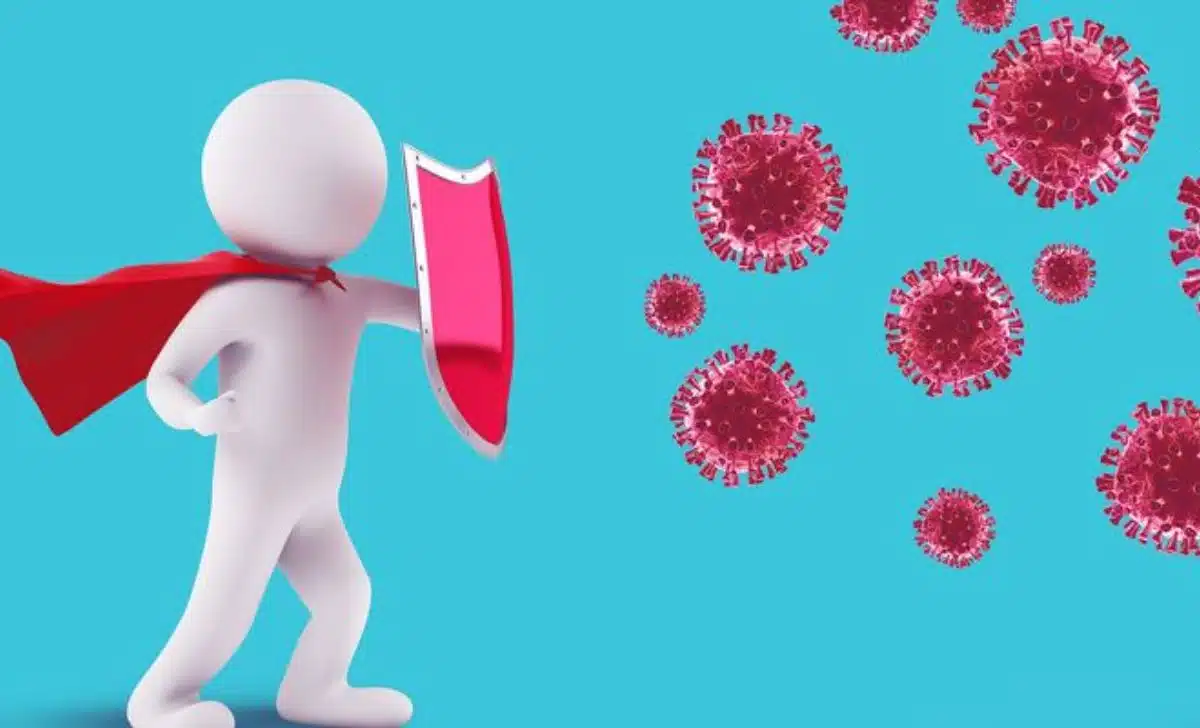 How the Immune System Saves Your Life Every Day