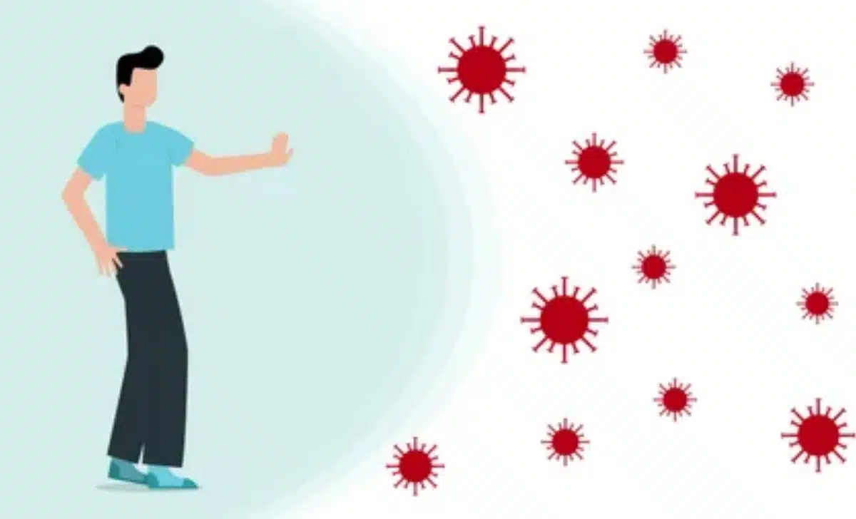 How the Immune System Saves Your Life Every Day