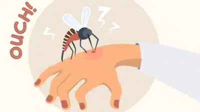 Why Do Mosquitoes Love Some People More Than Others? The Science Behind Mosquito Magnets