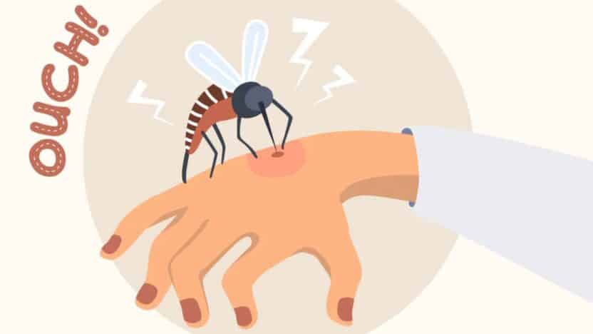 Why Do Mosquitoes Love Some People More Than Others? The Science Behind Mosquito Magnets