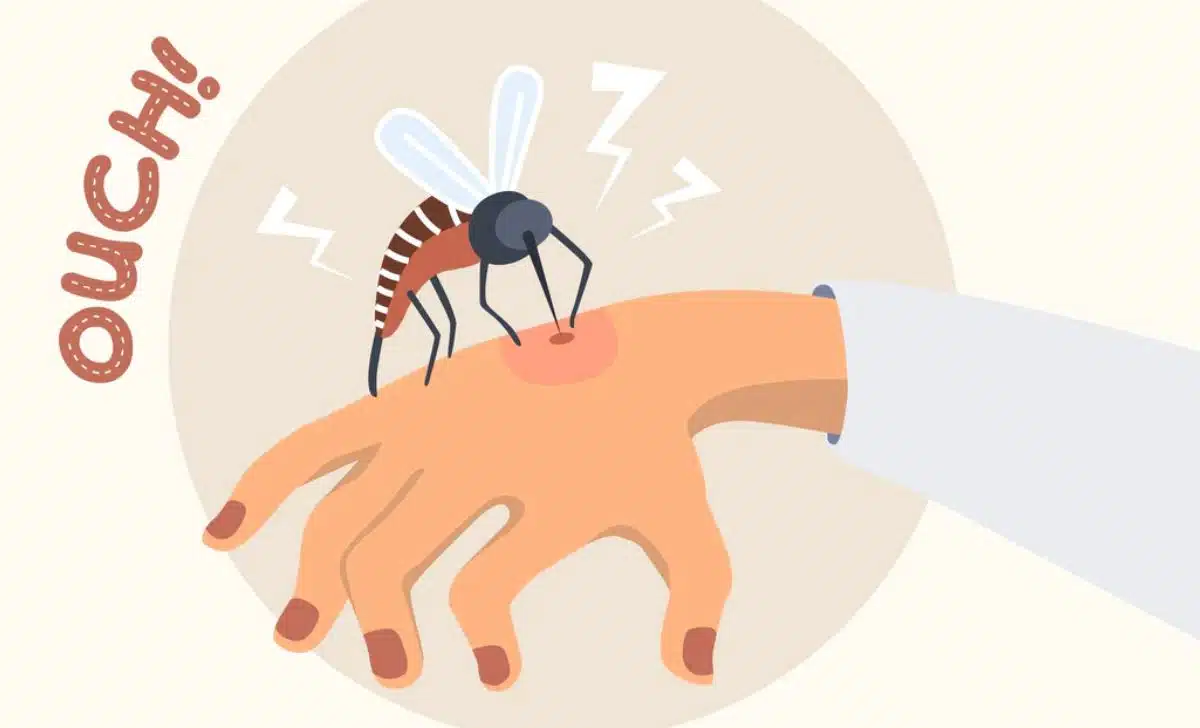 Why Do Mosquitoes Love Some People More Than Others? The Science Behind Mosquito Magnets