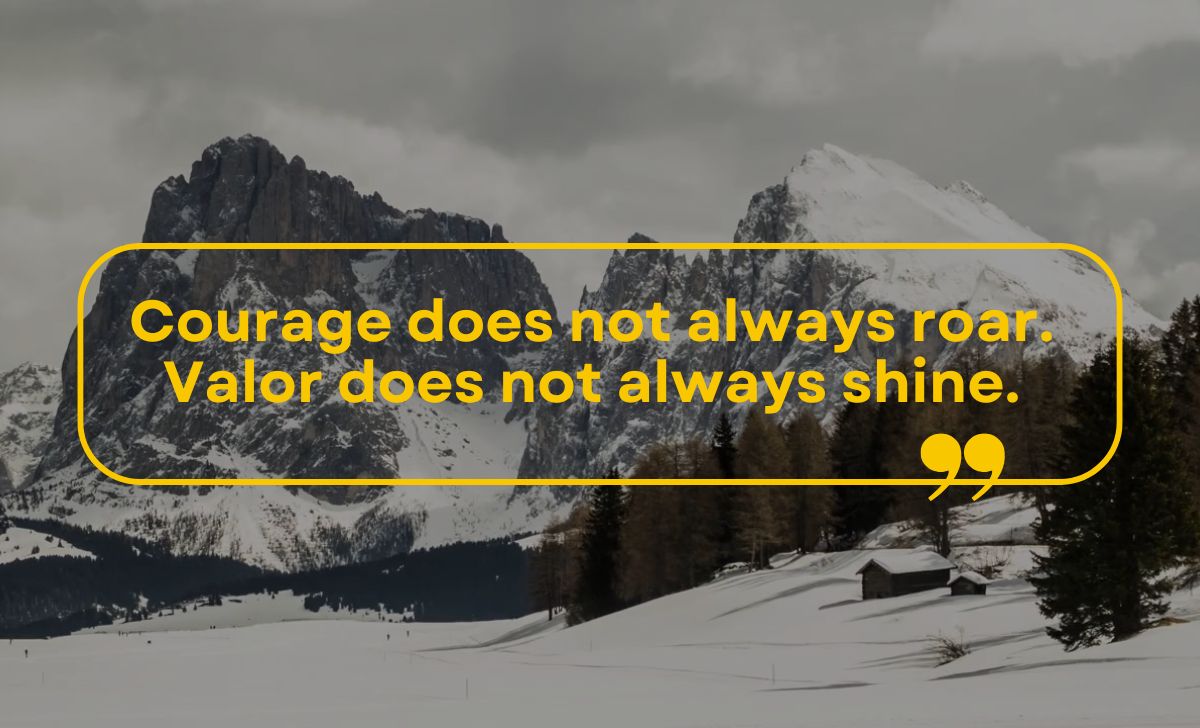 Courage does not always roar. Valor does not always shine.