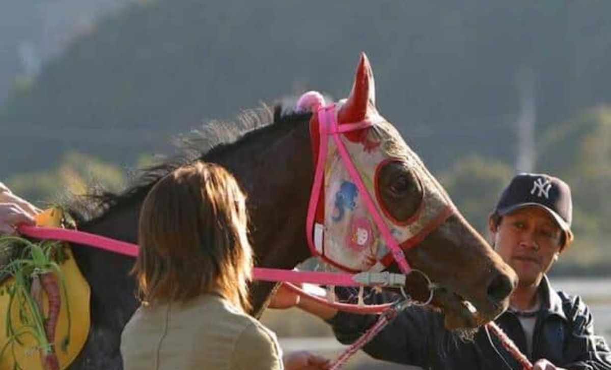 Haru Urara, Japanese Racehorse Famous For 113 Straight Losses, Dies At 29