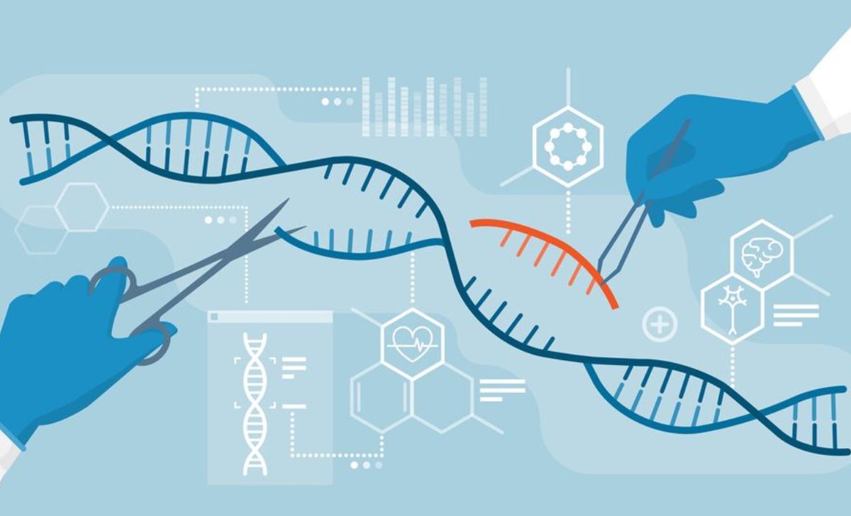 Is It Ethical to Allow Humans to Control Genetic Modification?