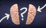The Truth Behind the Left Brain–Right Brain Myth (2)