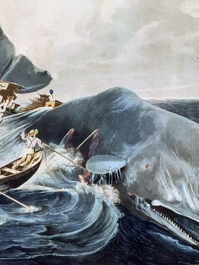 Why Should You Read Moby Dick?