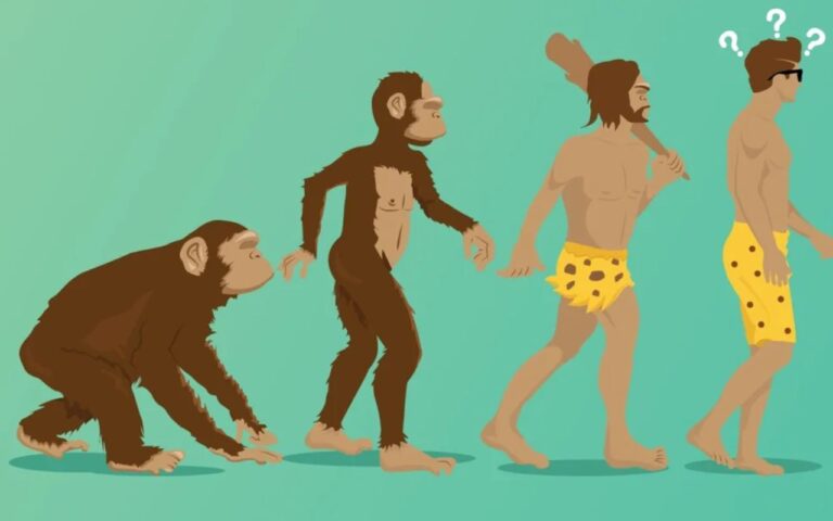 Debunking Myths And Misconceptions About Evolution A Closer Look